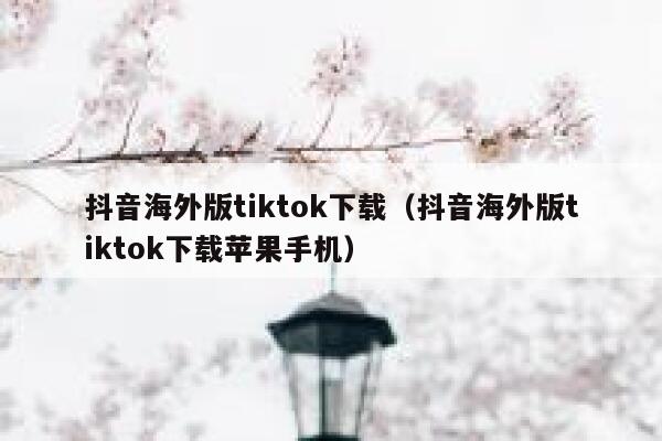 抖音海外版tiktok下载(抖音海外版tiktok下载苹果手机) 第1张 抖音海外版tiktok下载(抖音海外版tiktok下载苹果手机) 第1张