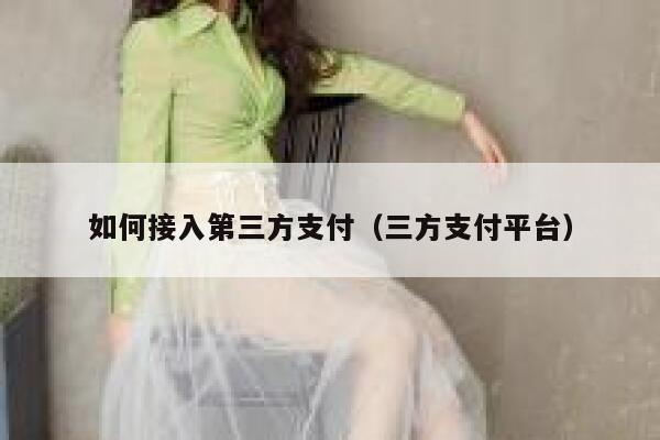 如何接入第三方支付(三方支付平台) 第1张 如何接入第三方支付(三方支付平台) 第1张