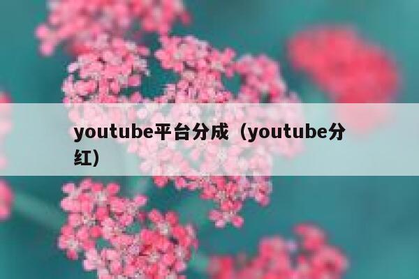 youtube平台分成（youtube分红） 第1张