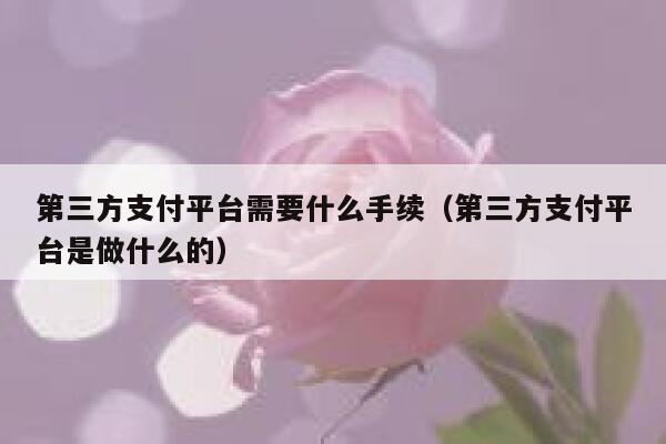 第三方支付平台需要什么手续（第三方支付平台是做什么的） 第1张