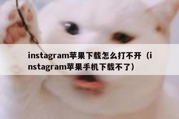 instagram苹果下载怎么打不开（instagram苹果手机下载不了） 第1张
