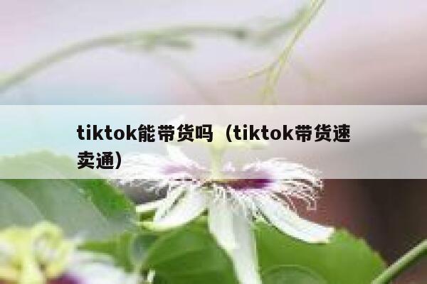 tiktok能带货吗（tiktok带货速卖通） 第1张