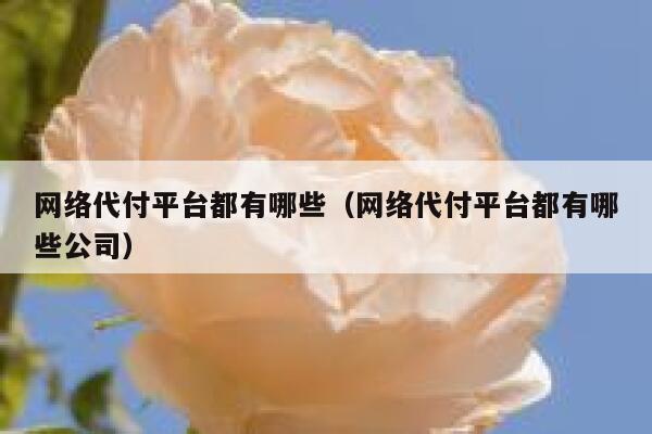 网络代付平台都有哪些（网络代付平台都有哪些公司） 第1张