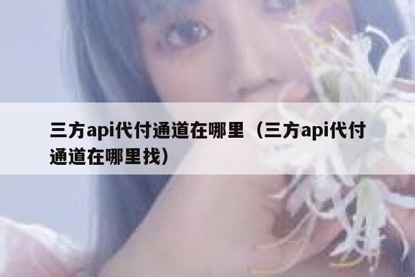 三方api代付通道在哪里（三方api代付通道在哪里找） 第1张