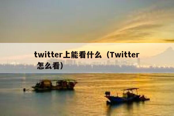 twitter上能看什么(Twitter 怎么看) 第1张 twitter上能看什么(Twitter 怎么看) 第1张