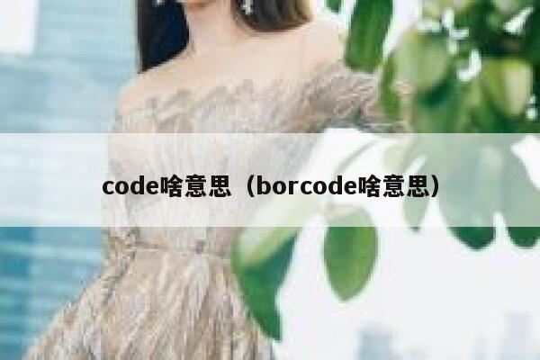 code啥意思(borcode啥意思) 第1张 code啥意思(borcode啥意思) 第1张