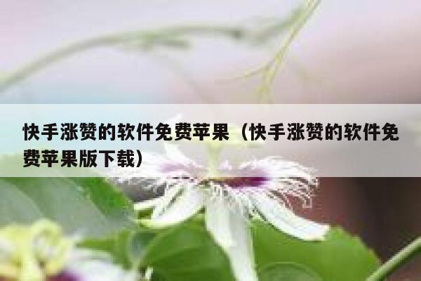 快手涨赞的软件免费苹果（快手涨赞的软件免费苹果版下载） 第1张