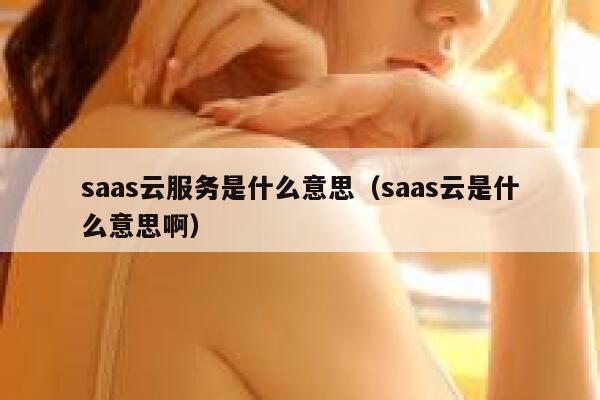 saas云服务是什么意思（saas云是什么意思啊） 第1张