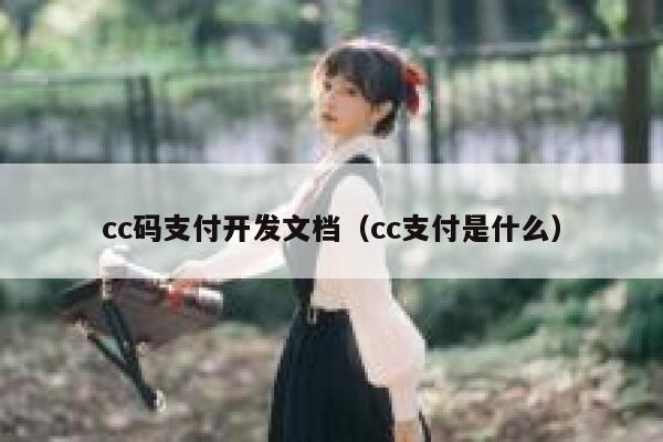 cc码支付开发文档（cc支付是什么） 第1张