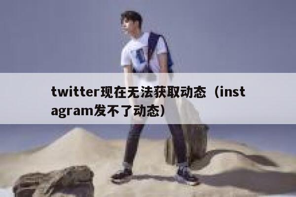 twitter现在无法获取动态（instagram发不了动态） 第1张