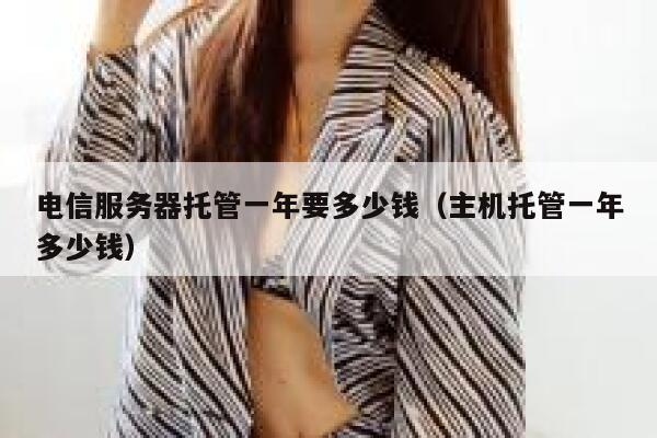 电信服务器托管一年要多少钱（主机托管一年多少钱） 第1张