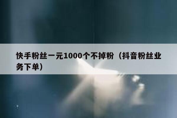 快手粉丝一元1000个不掉粉（抖音粉丝业务下单） 第1张