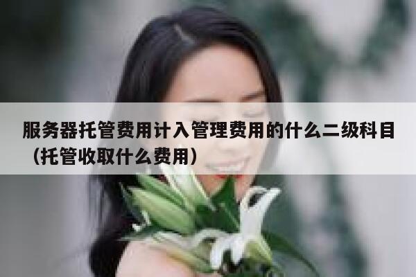 服务器托管费用计入管理费用的什么二级科目(托管收取什么费用) 第1张 服务器托管费用计入管理费用的什么二级科目(托管收取什么费用) 第1张