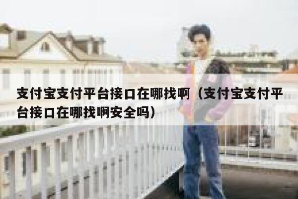 支付宝支付平台接口在哪找啊（支付宝支付平台接口在哪找啊安全吗） 第1张