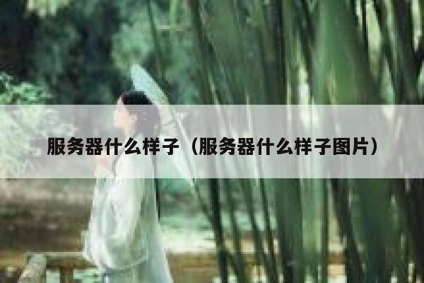 服务器什么样子（服务器什么样子图片） 第1张