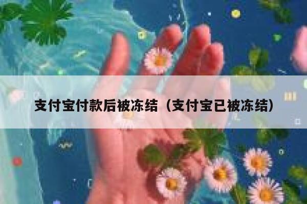 支付宝付款后被冻结（支付宝已被冻结） 第1张