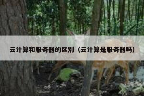 云计算和服务器的区别（云计算是服务器吗） 第1张