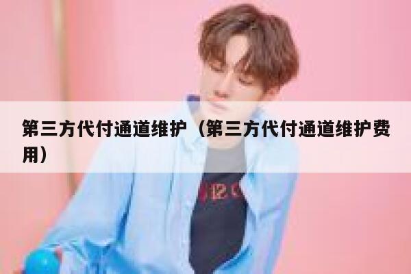 第三方代付通道维护（第三方代付通道维护费用） 第1张