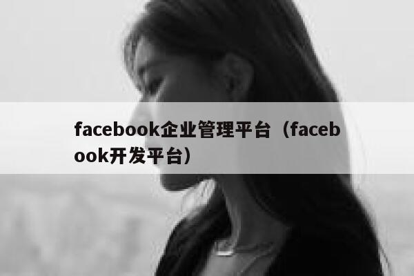 facebook企业管理平台（facebook开发平台） 第1张