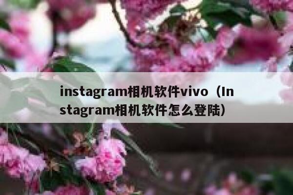 instagram相机软件vivo（Instagram相机软件怎么登陆） 第1张