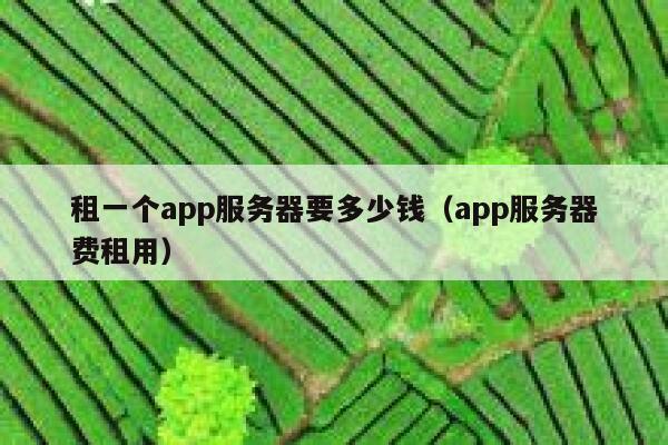 租一个app服务器要多少钱（app服务器费租用） 第1张