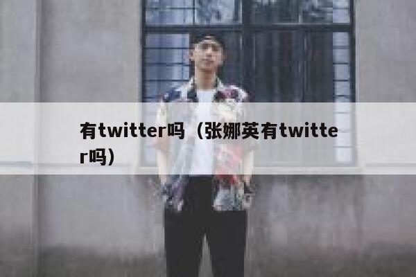 有twitter吗（张娜英有twitter吗） 第1张