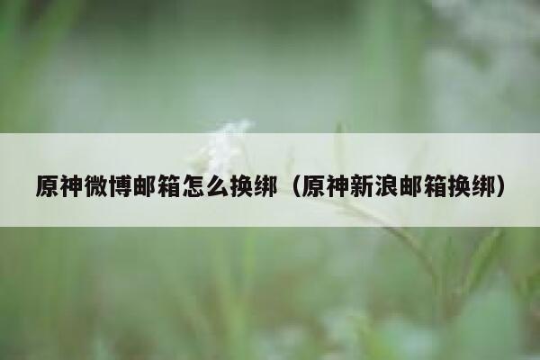 原神微博邮箱怎么换绑（原神新浪邮箱换绑） 第1张