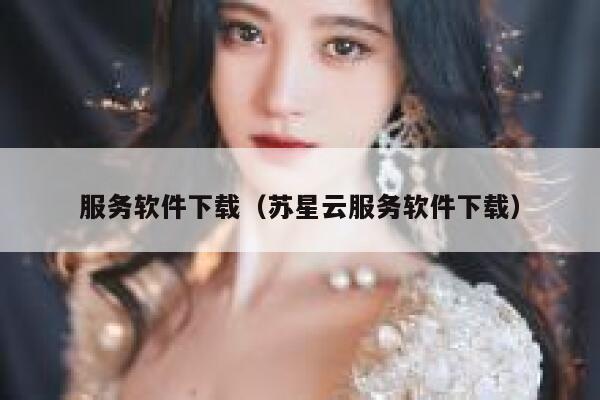 服务软件下载（苏星云服务软件下载） 第1张