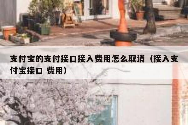支付宝的支付接口接入费用怎么取消（接入支付宝接口 费用） 第1张