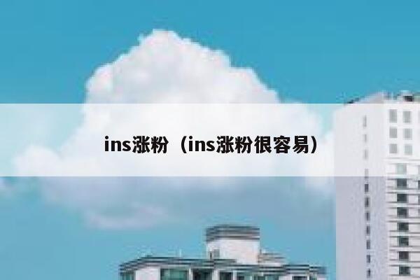 ins涨粉（ins涨粉很容易） 第1张