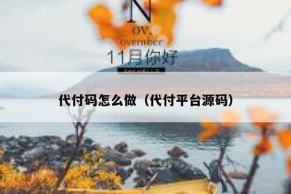 代付码怎么做（代付平台源码） 第1张