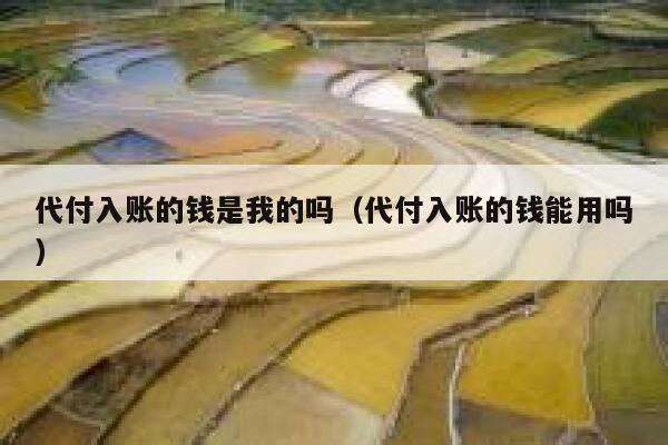 代付入账的钱是我的吗（代付入账的钱能用吗） 第1张
