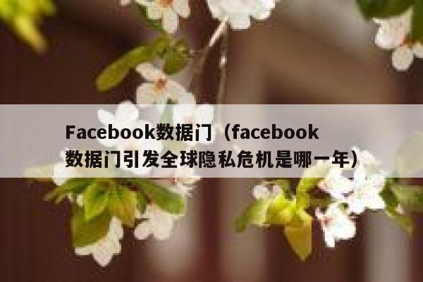 Facebook数据门（facebook数据门引发全球隐私危机是哪一年） 第1张
