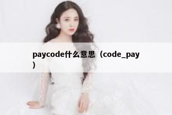 paycode什么意思（code_pay） 第1张