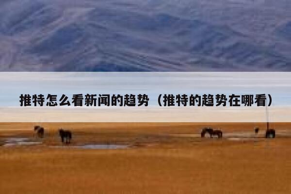 推特怎么看新闻的趋势（推特的趋势在哪看） 第1张