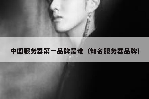 中国服务器第一品牌是谁(知名服务器品牌) 第1张 中国服务器第一品牌是谁(知名服务器品牌) 第1张
