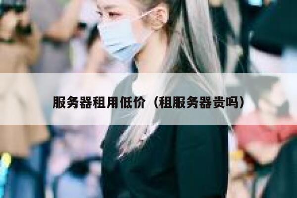 服务器租用低价(租服务器贵吗) 第1张 服务器租用低价(租服务器贵吗) 第1张