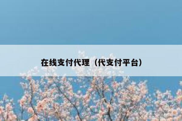在线支付代理（代支付平台） 第1张