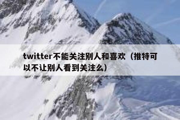twitter不能关注别人和喜欢（推特可以不让别人看到关注么） 第1张
