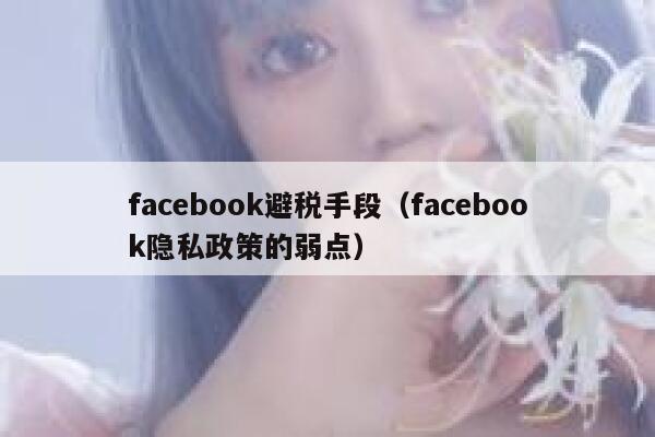 facebook避税手段(facebook隐私政策的弱点) 第1张 facebook避税手段(facebook隐私政策的弱点) 第1张