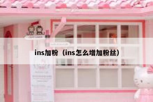 ins加粉（ins怎么增加粉丝） 第1张