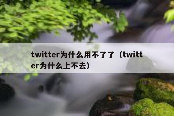 twitter为什么用不了了（twitter为什么上不去） 第1张