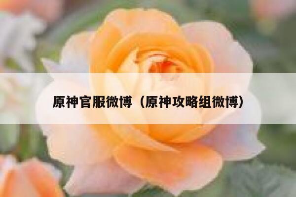 原神官服微博（原神攻略组微博） 第1张