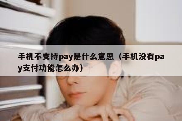 手机不支持pay是什么意思（手机没有pay支付功能怎么办） 第1张