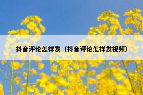 抖音评论怎样发（抖音评论怎样发视频） 第1张