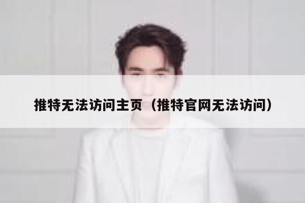 推特无法访问主页（推特官网无法访问） 第1张