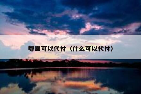 哪里可以代付（什么可以代付） 第1张