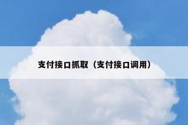 支付接口抓取（支付接口调用） 第1张