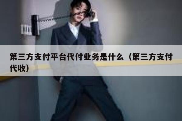 第三方支付平台代付业务是什么（第三方支付代收） 第1张