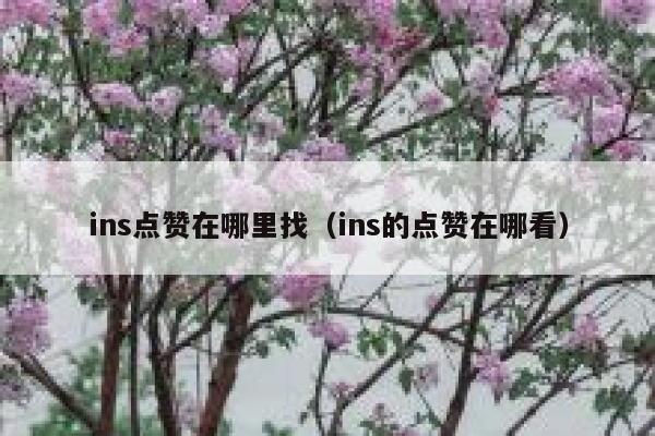 ins点赞在哪里找(ins的点赞在哪看) 第1张 ins点赞在哪里找(ins的点赞在哪看) 第1张